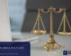 Tam Yargı Davası: İdareden Tazminat İstemenin Şartları Ve Süreci